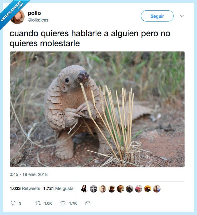 animalillo,incómodo,hablar,molestar