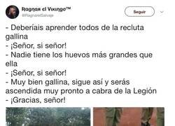 Enlace a El soldado gallina, por @ragnarelsalvaje