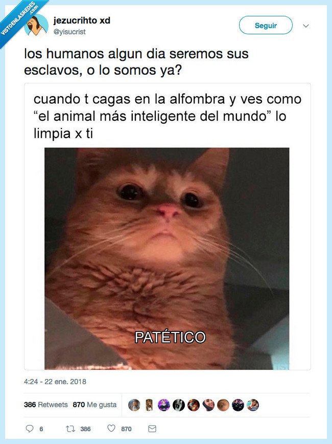 humano,caca,limpia