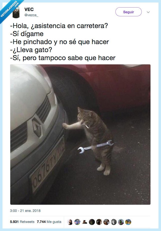 gato,mecanico,asistencia,carretera