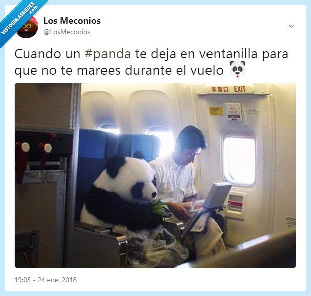 Panda,avión,ventanilla