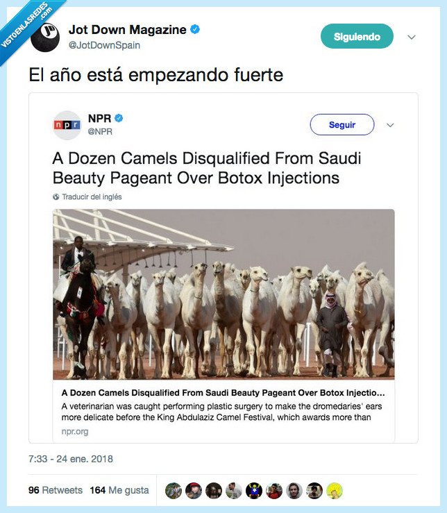 año,interesante,camello