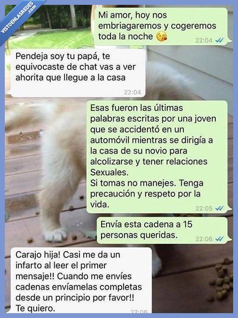 jugada,maestra,padre