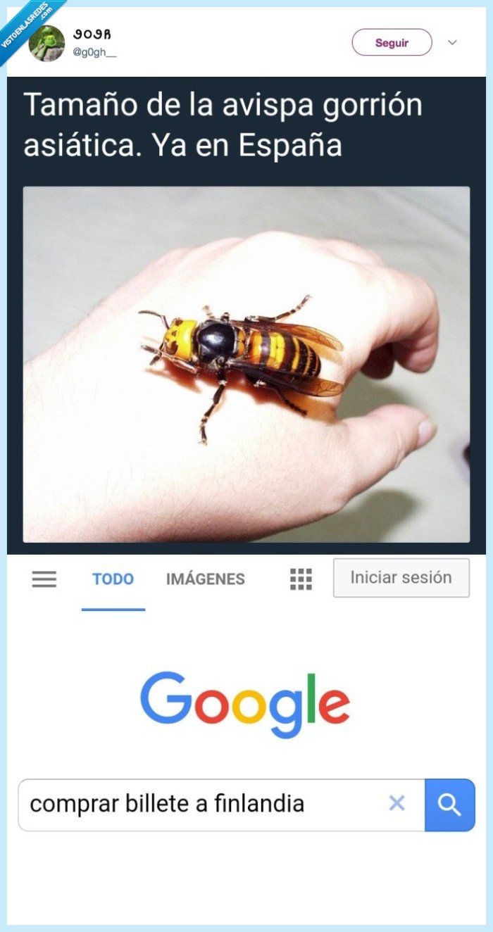 abeja,me voy del pais,españa