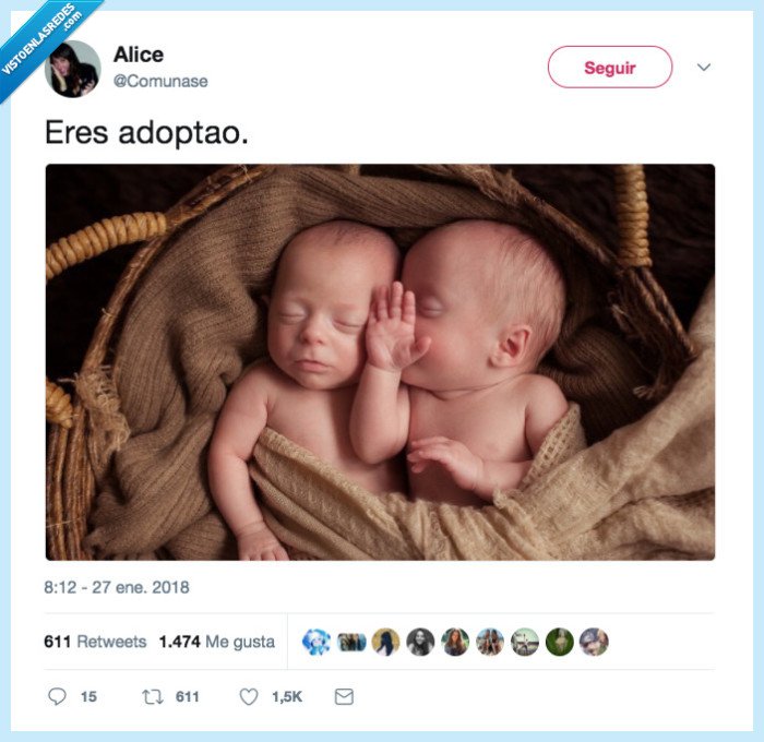 gemelos,adoptar