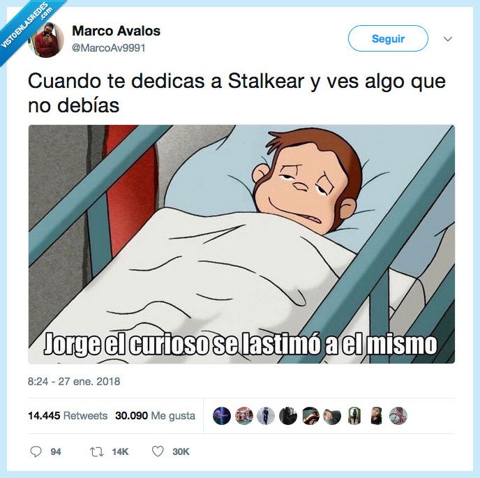 mono,autolesión,dolor
