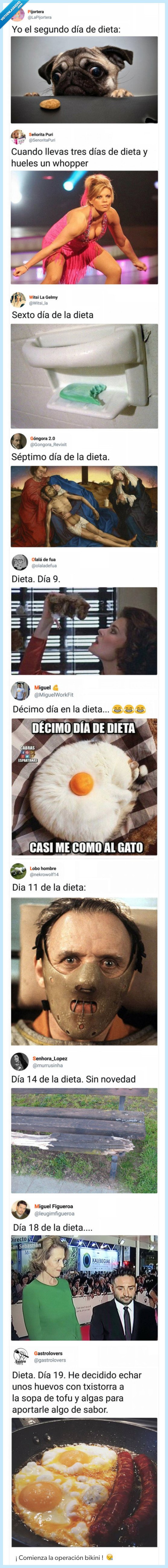 operación,bikini,empezar