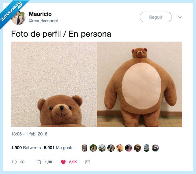 oso,peluche,perfil,persona
