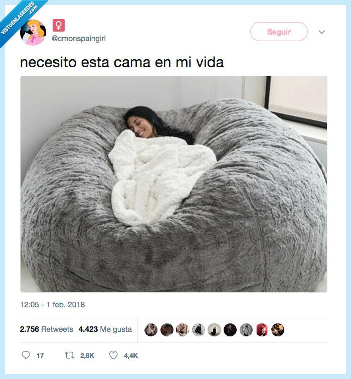 sofá,cama,vida