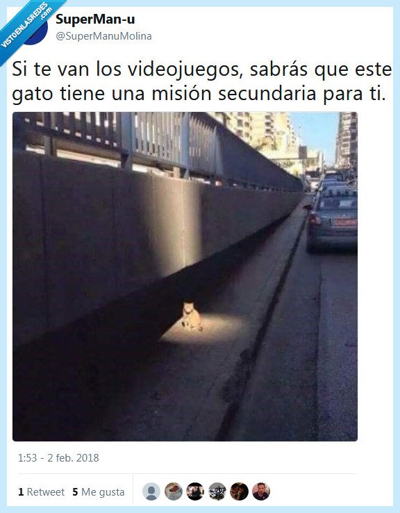 gato,secundaria,misión,videojuegos