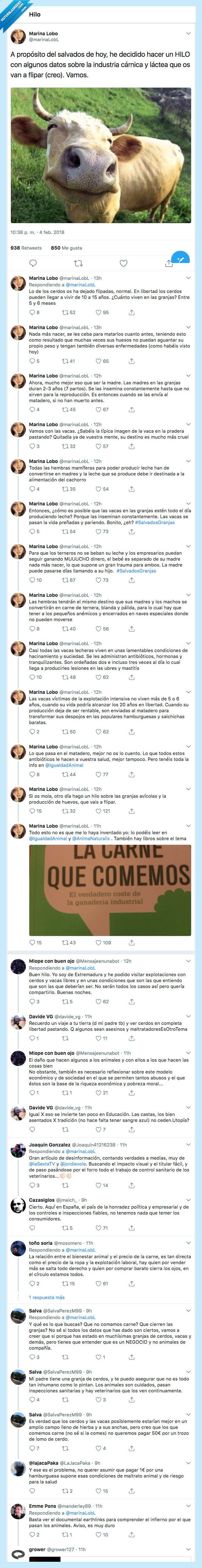 industria,esconder,cárnica