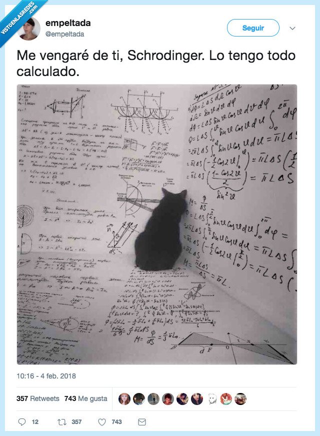 gato,vendetta,ventaja