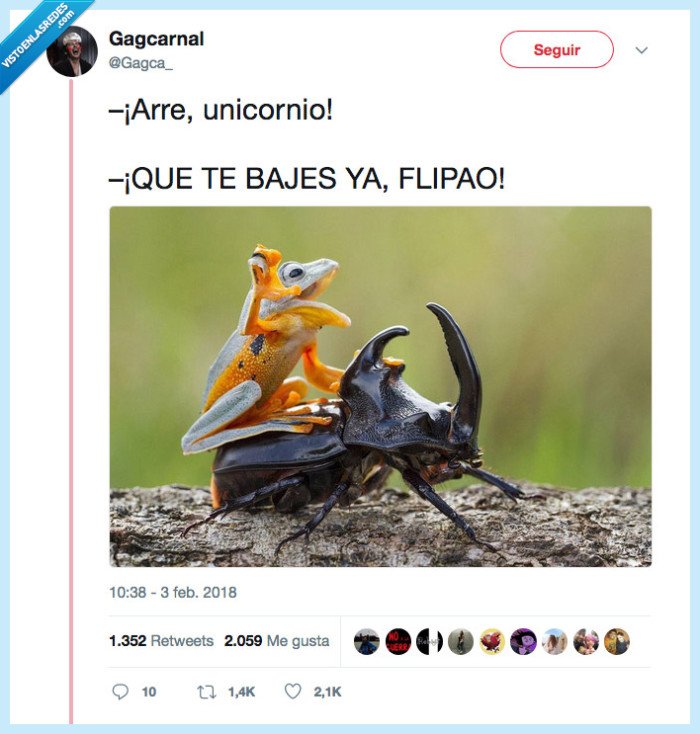 bicho,unicornio