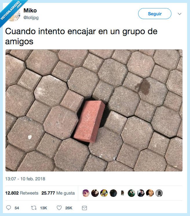 intentar,encajar,amigos