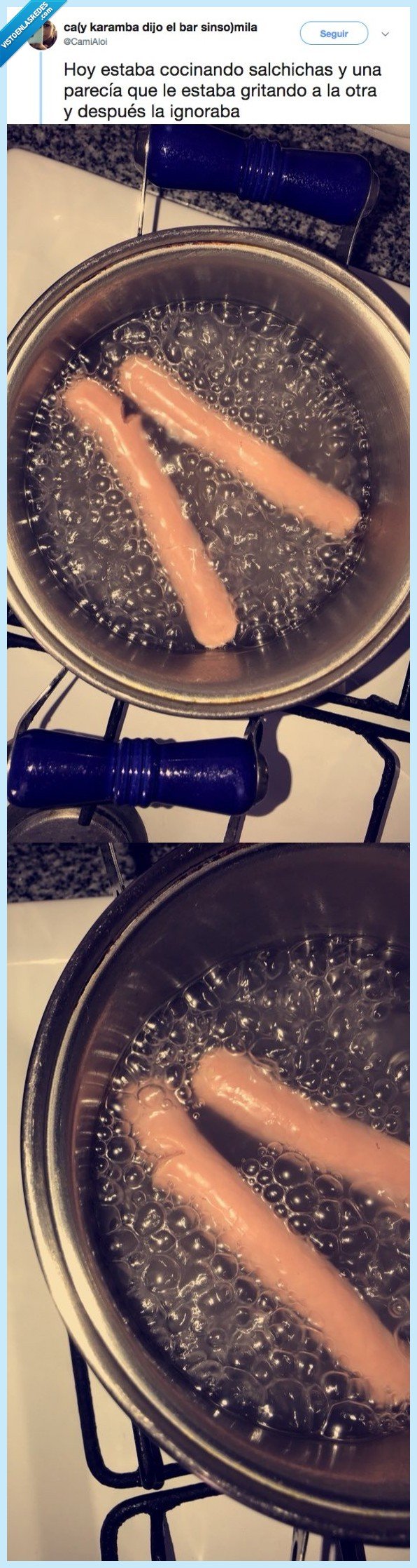 salchicha,aburrir,jugar