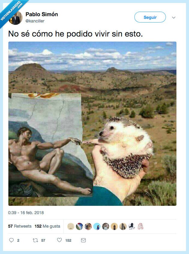 erizo,dios,vivir