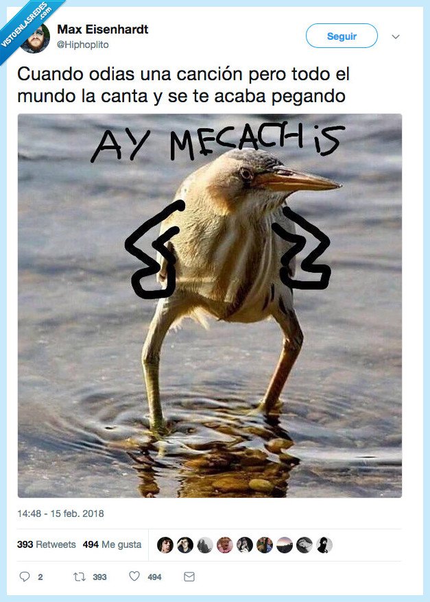 mecachis,sacar de la cabeza,cancion