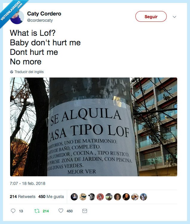 ortografía,buena,cartel,canción