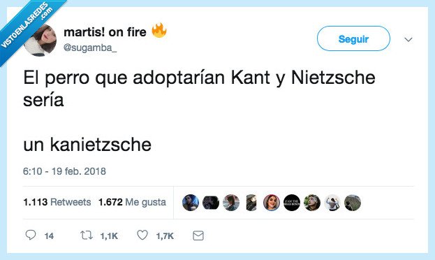 perro,caniche,filosofías