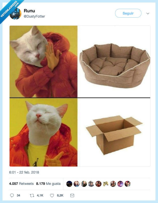 gato,tener,caja