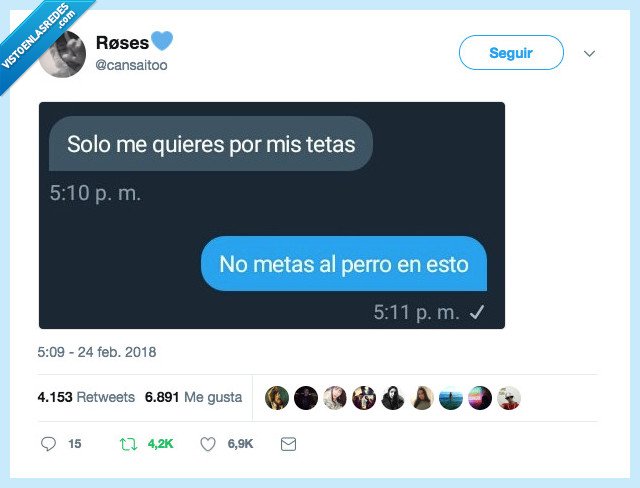 perro,conversaciones,discusiones,chiste