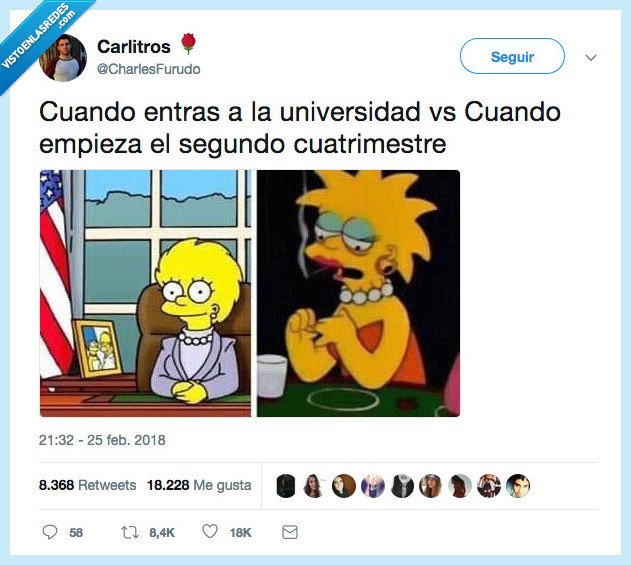 lisa,simpson,universidad