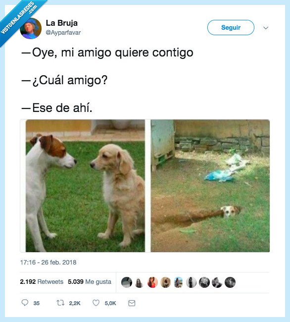 acordar,esto,perro