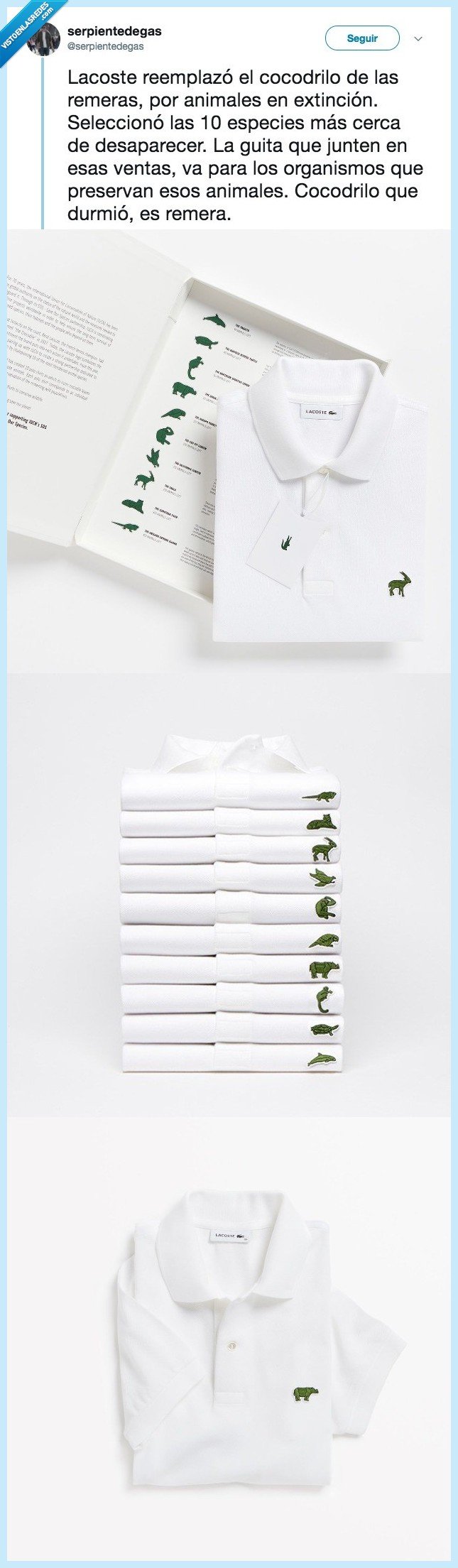 lacoste,marca,cambia