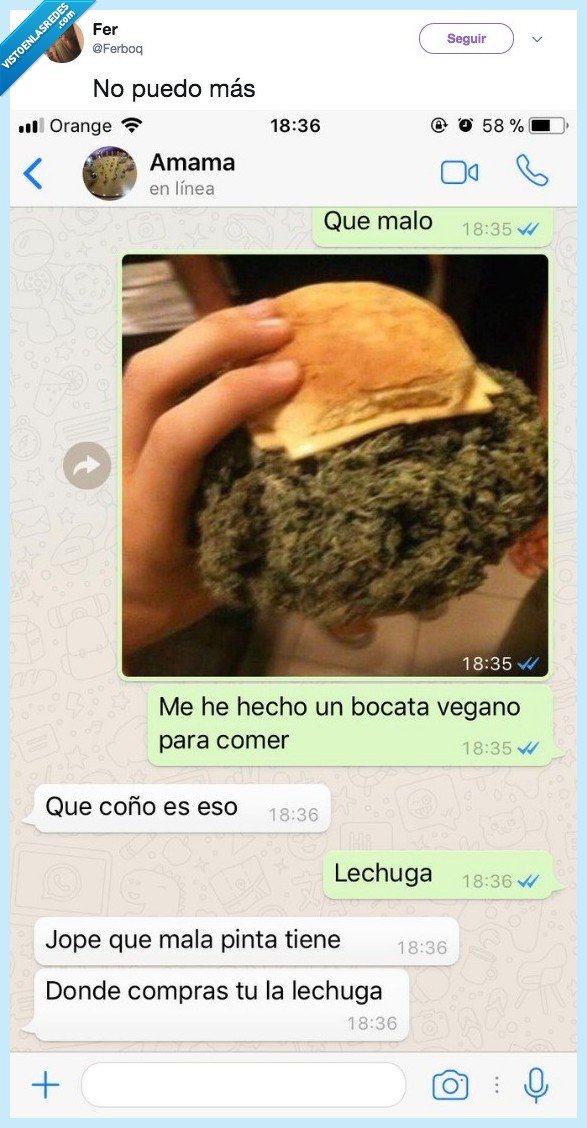 lechuga,hamburguesa,comida