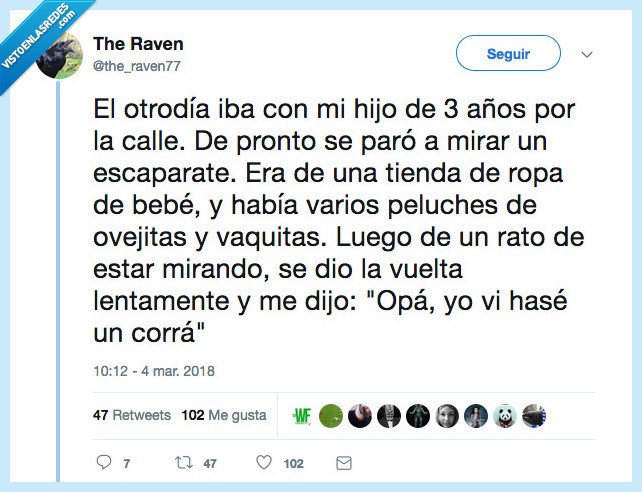 ni&ntilde;o,opa,escaparate