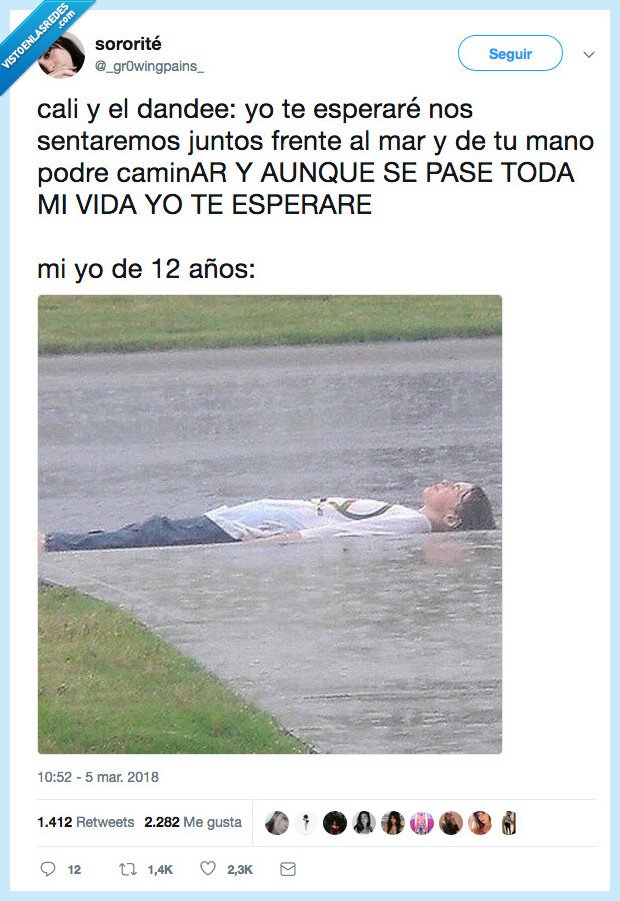 canción,historia,cali y el dandee