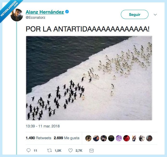 pingüino,lucha,libre