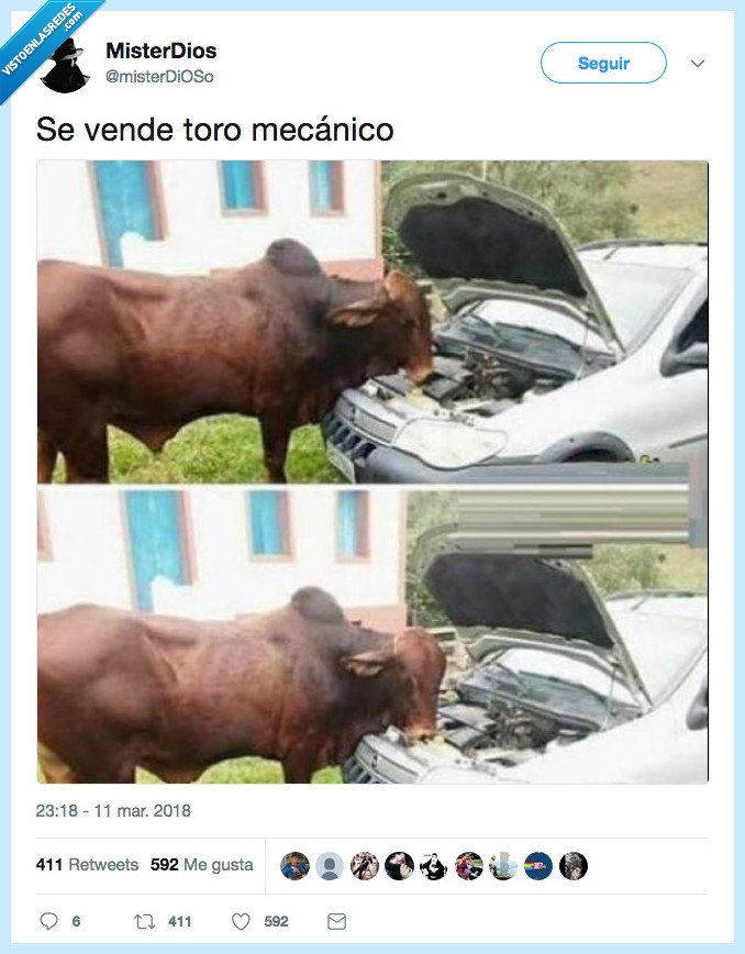 toro,mecánico