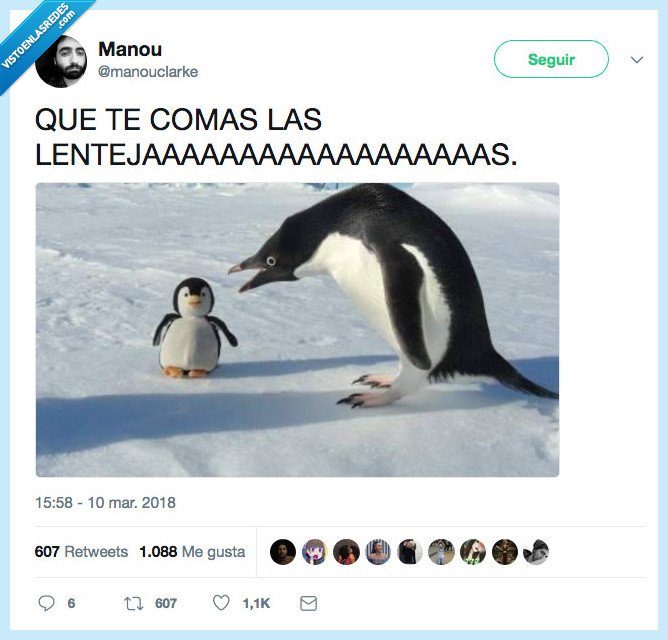 pinguino,enfadar,lentejas