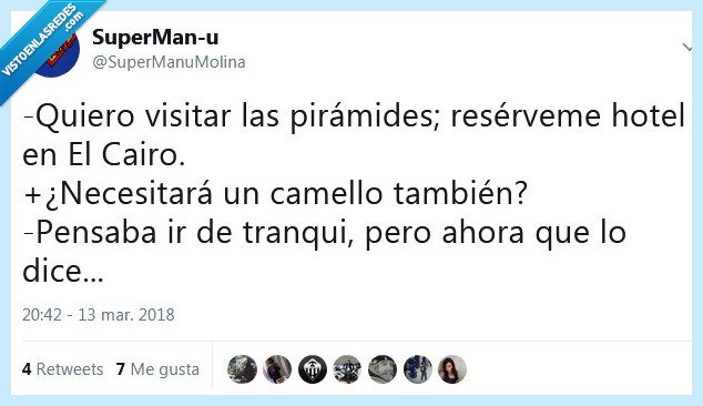 camello,el cairo,hotel