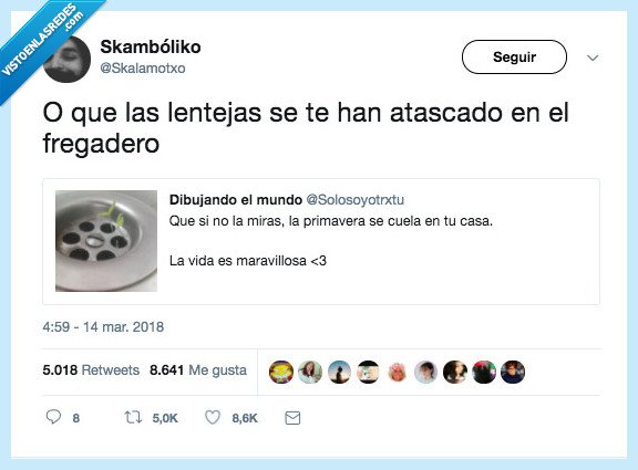 m&iacute;sticos,lentejas,fregadero