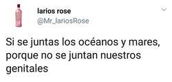 Enlace a Acción poética, por @Mr_LariosRose