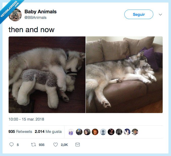 tiempo,pasar,perrete