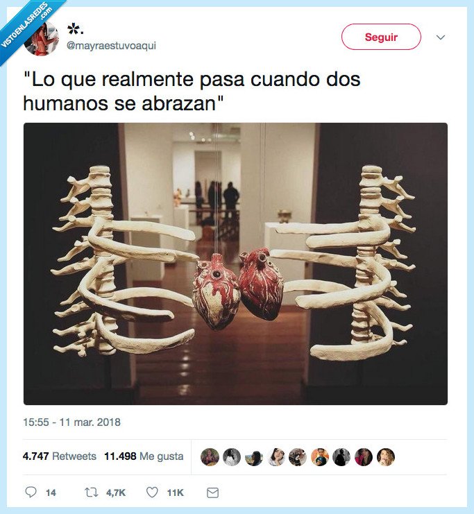 anatomía,abraza