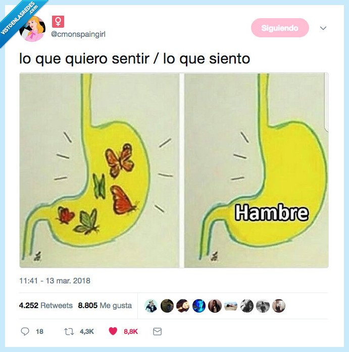 hambre,estomago,mariposas