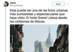 Enlace a Flipante, por @The_BirdPerson