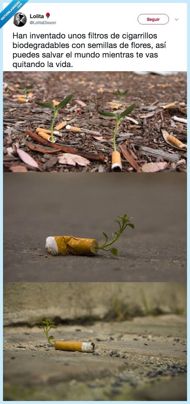 salvar,mundo,al menos