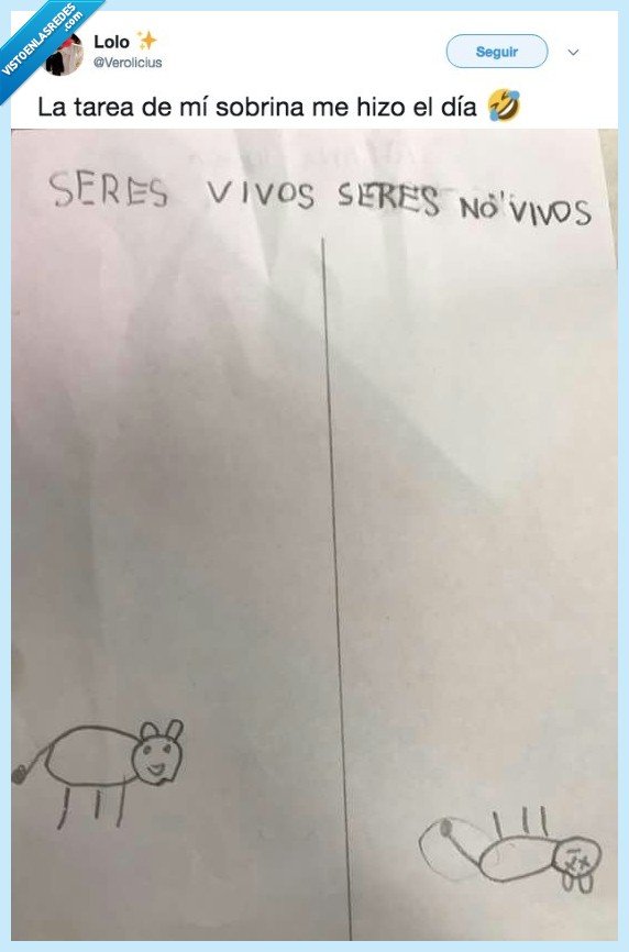 examen,sobrina,hacer,día