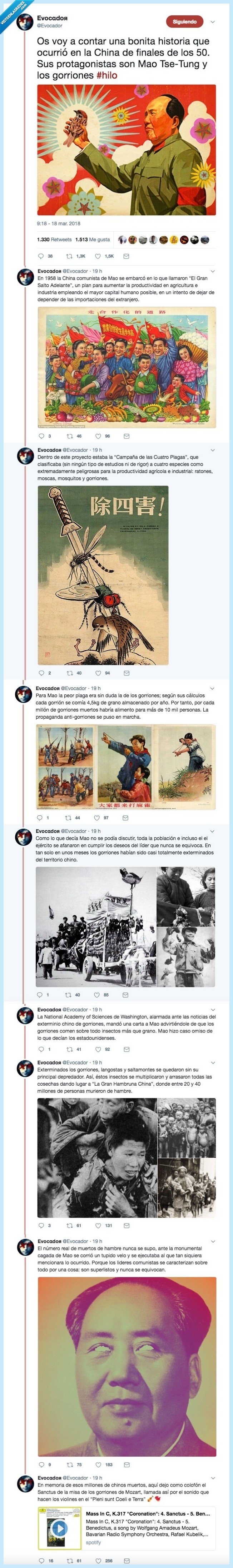 mao tse tung,provocar muerte