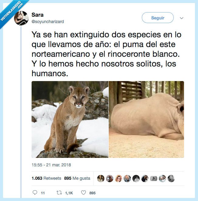 ser humano,viva,ironía