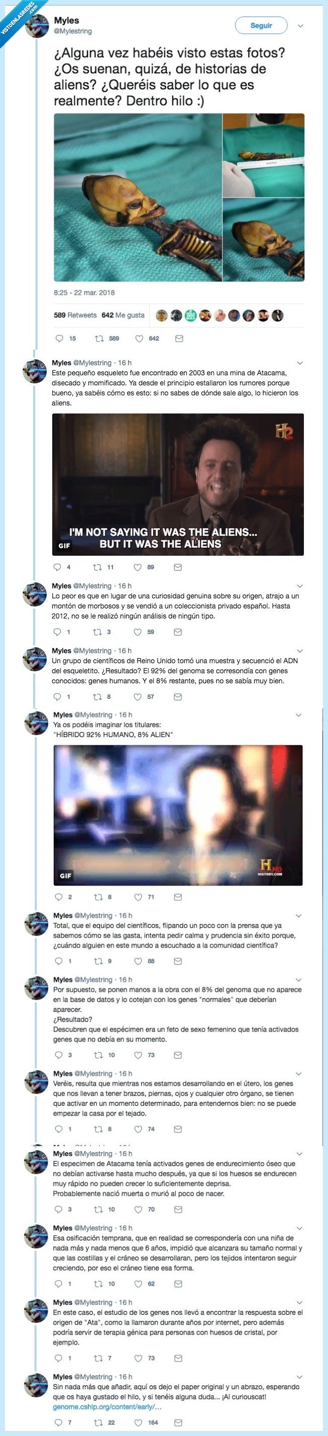 alien,atacama,misterio