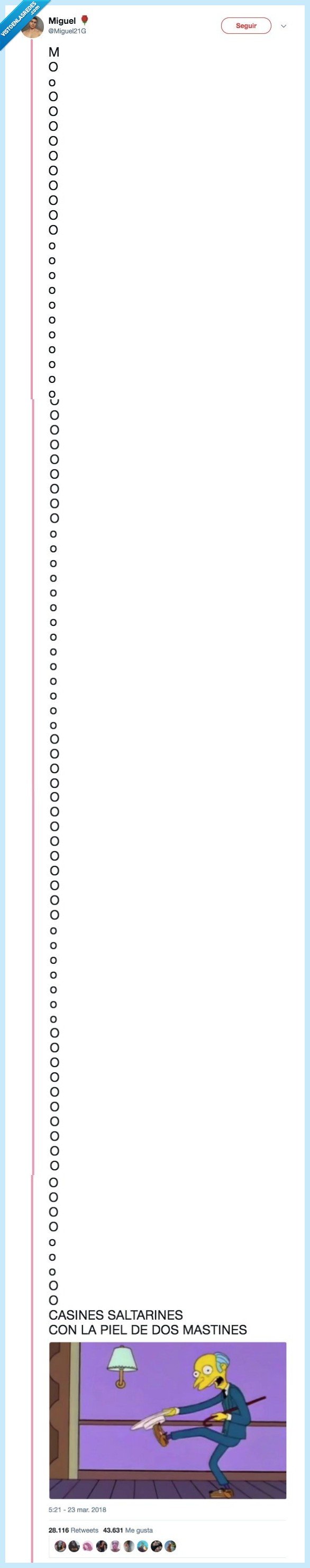 mocasines,saltarines,sorpresa