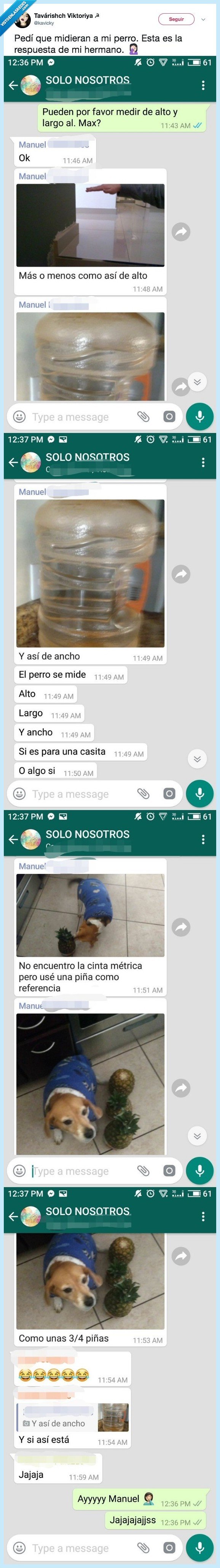 485251 - Cuando le pides un favor a tu hermano y demuestra ser tonto e ingenioso a partes iguales, por @kavicky