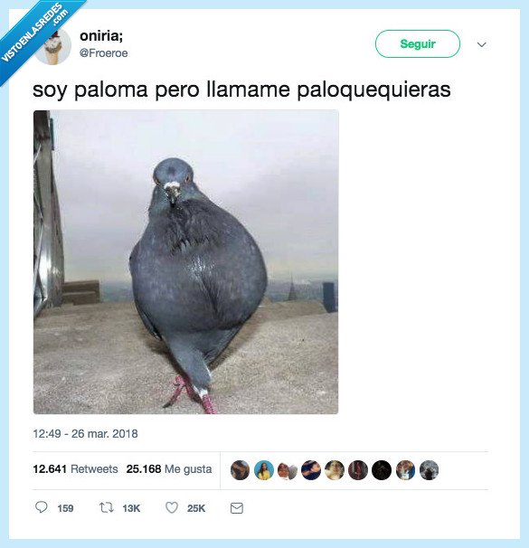 paloma,llamar,paloquequieras