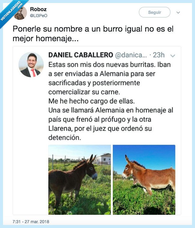 burro,homenaje